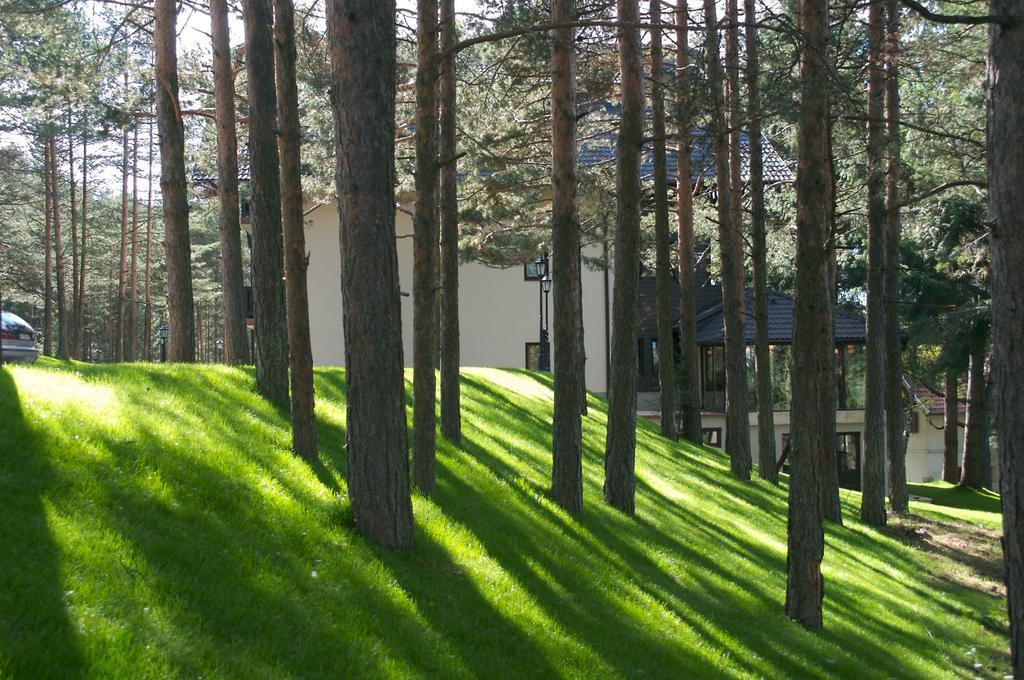 Vila Pina Zlatibor Buitenkant foto